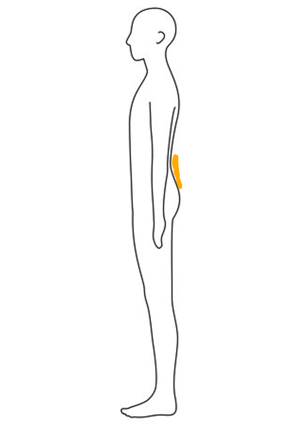 Positioning the lumbar pad in the hollow of the lower back, just above the buttocks